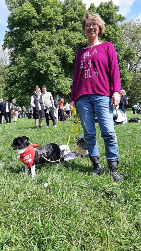 Pflegehund Jack von Streunerherzen e.V. bei einem Bark Date im Park